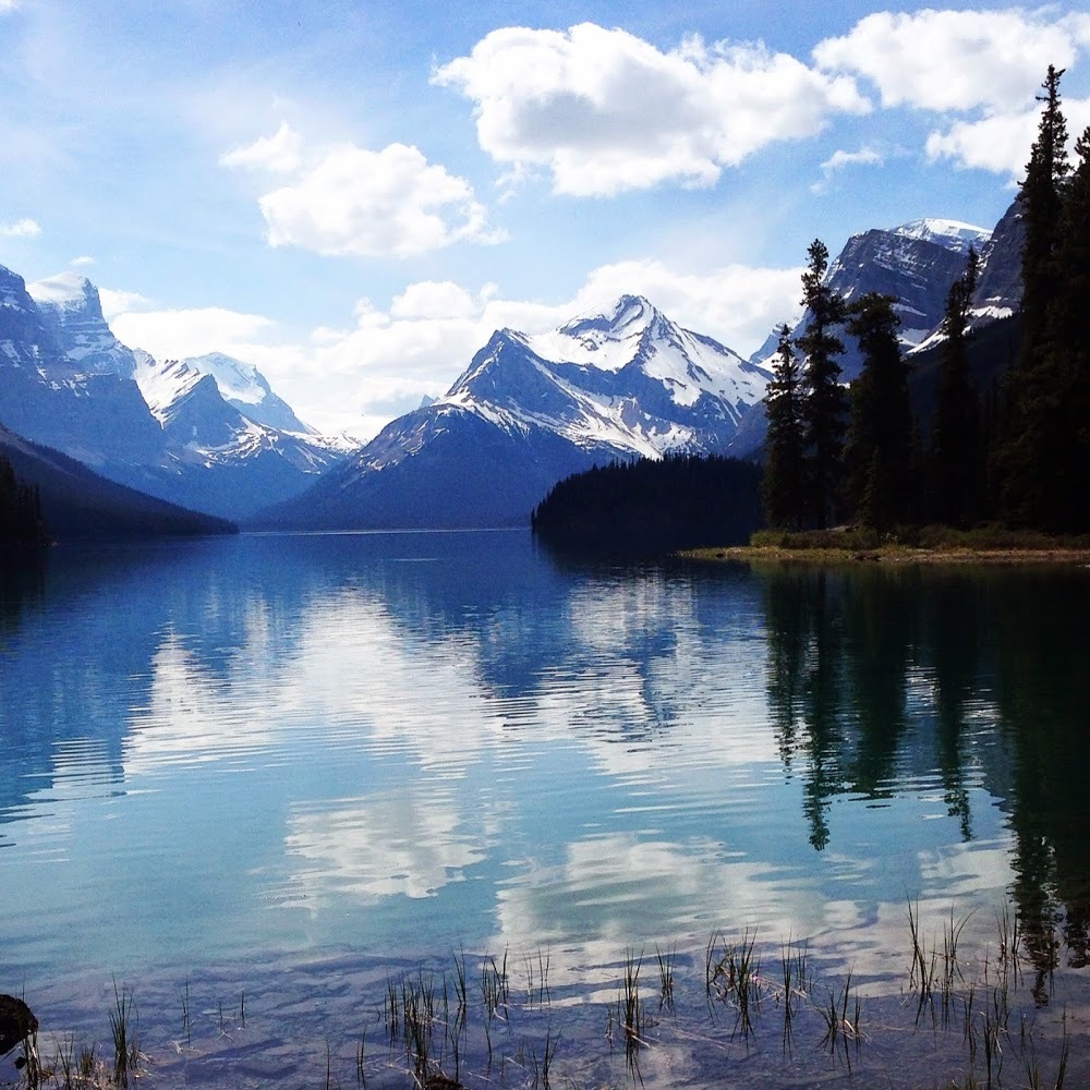 Meet your Posher, Meghan